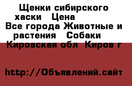 Щенки сибирского хаски › Цена ­ 12 000 - Все города Животные и растения » Собаки   . Кировская обл.,Киров г.